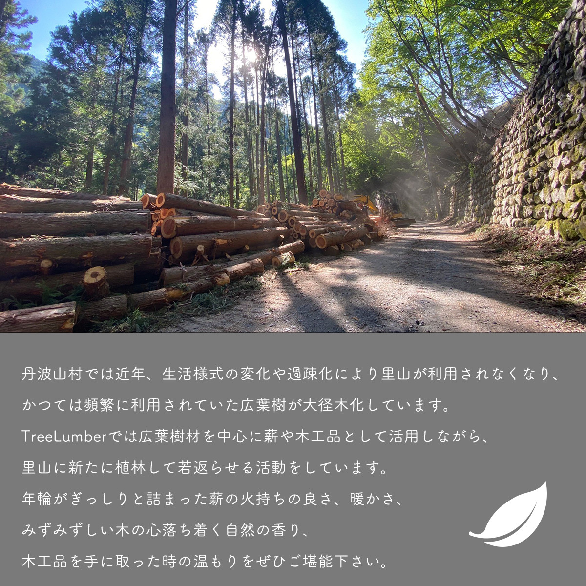 丹波山村の豊かな森林から生まれました。森林保護にも役立っています。