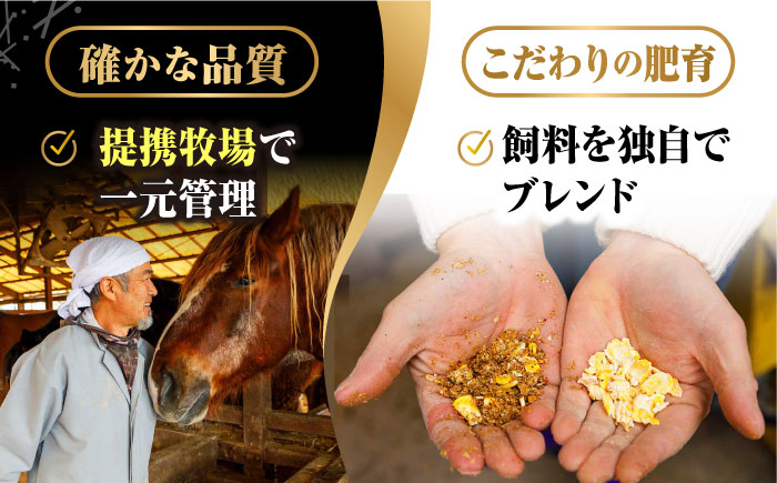 赤身 大トロ 中トロ たてがみ ロース 専用醤油付き 国産 馬刺し 熊本 山鹿市 霜降り 馬刺 ばさし バサシ おつまみ 小分け