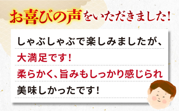 ステーキ 人気 和牛  壱岐牛 希少 柔らかい やわらかい 贈り物 ギフト  肉