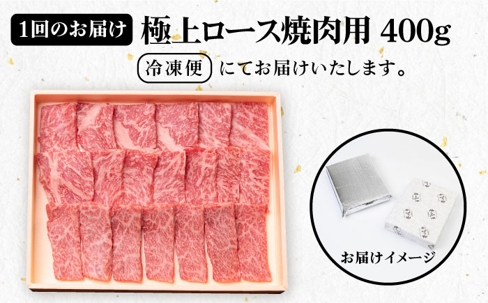 ステーキ 人気 和牛  壱岐牛 希少 柔らかい やわらかい 贈り物 ギフト  肉