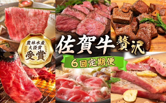 【全6回定期便】佐賀牛 贅沢コース【田中畜産牛肉店】定期便 黒毛和牛 牛肉 ヒレ ステーキ スライス 焼肉 [HBH136]