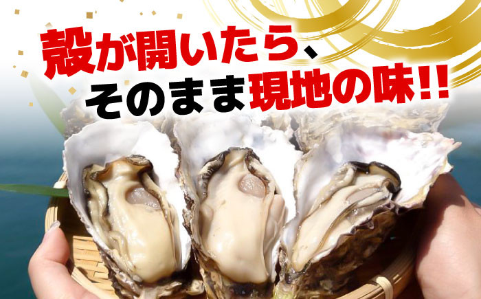 牡蠣 むき身 殻付き かき カキ 生牡蠣 広島牡蠣 オイスター カキフライ 魚介類 貝類 海鮮 広島県産 国産 産地直送