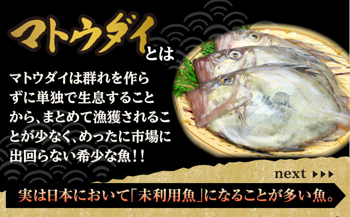 【高級食材マトウダイ入り】 平戸 干物 5種セット 計29枚 平戸市 / 井吉水産 