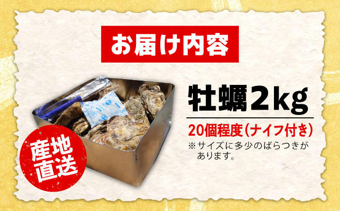 牡蠣 むき身 殻付き かき カキ 生牡蠣 広島牡蠣 オイスター カキフライ 魚介類 貝類 海鮮 広島県産 国産 産地直送