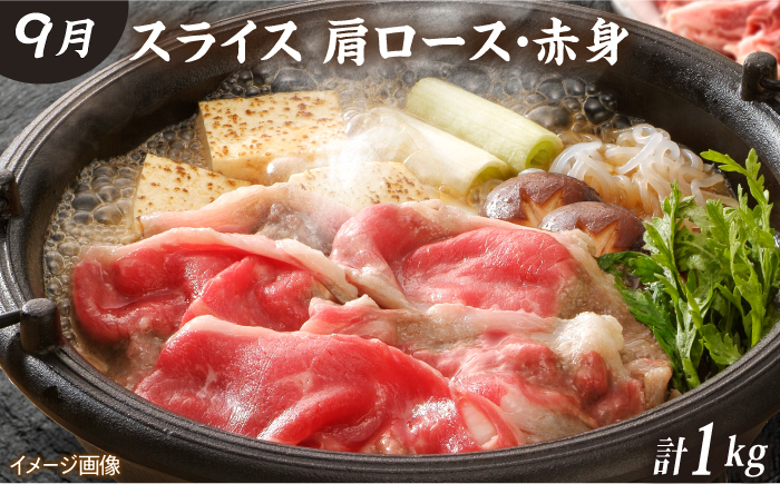 【全6回定期便】佐賀牛 贅沢コース【田中畜産牛肉店】定期便 黒毛和牛 牛肉 ヒレ ステーキ スライス 焼肉 [HBH136]