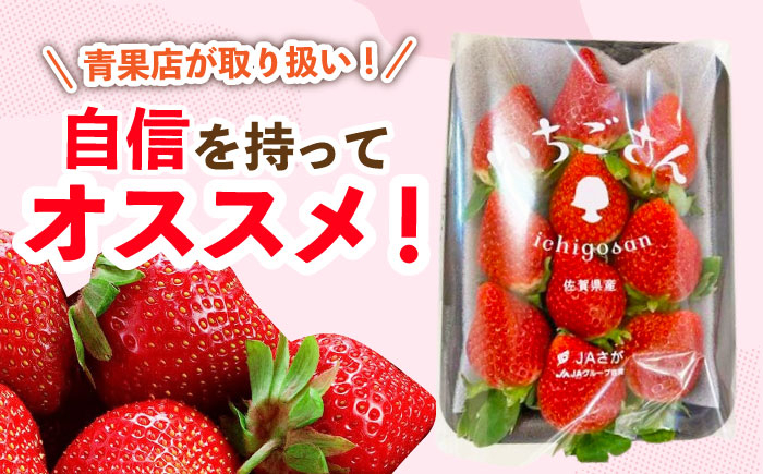 佐賀のブランドいちご いちごさん 約1kg（約250g×4p）/中村青果店 [UDK007] いちご イチゴ 苺 果物 フルーツ