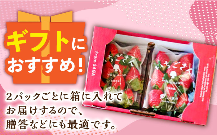 佐賀のブランドいちご いちごさん 約920g（約230g×4p）/中村青果店 [UDK006] いちご イチゴ 苺 果物 フルー