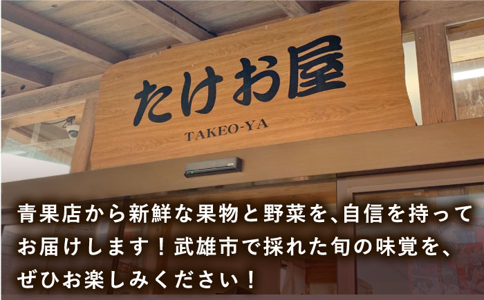 佐賀のブランドいちご いちごさん 約920g（約230g×4p）/中村青果店 [UDK006] いちご イチゴ 苺 果物 フルー