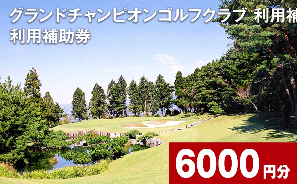 グランドチャンピオンゴルフクラブ 利用補助券 6000円分  1000円×6枚