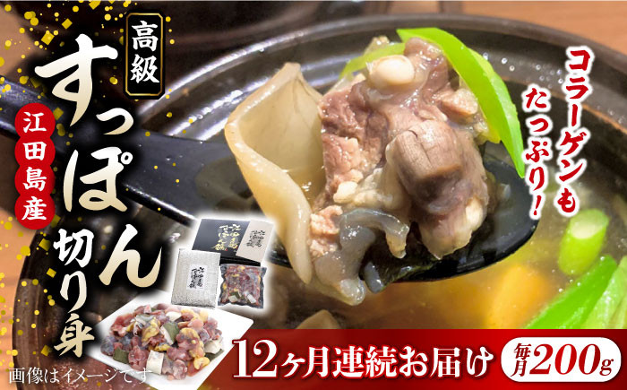 すっぽん スッポン コラーゲン 珍味 海鮮 魚介類 鍋 ナベ なべ セット