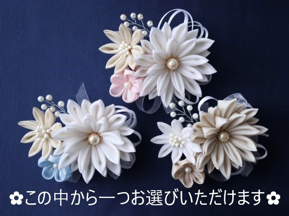 ３色から１つお選びいただけます。各色味の写真は「種類」より色を選択し、ご覧いただけます。