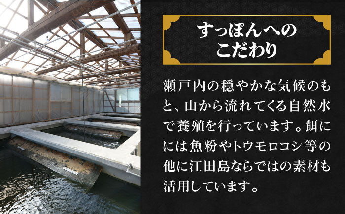 すっぽん スッポン コラーゲン 珍味 海鮮 魚介類 鍋 ナベ なべ セット