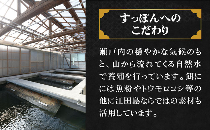 すっぽん スッポン コラーゲン 珍味 海鮮 魚介類 鍋 ナベ なべ セット