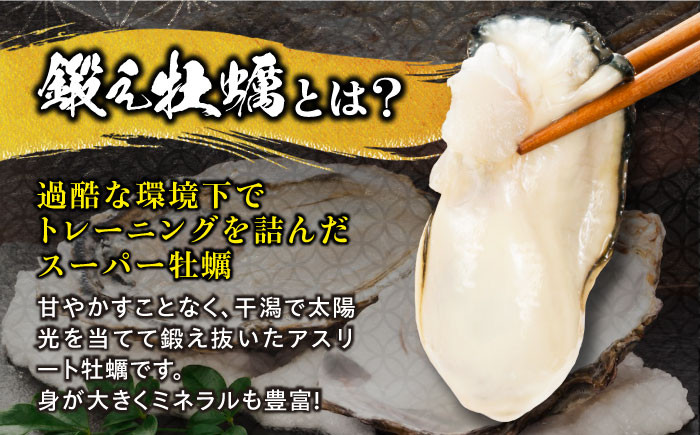 牡蠣 むき身 殻付き かき カキ 生牡蠣 広島牡蠣 オイスター カンカン焼き