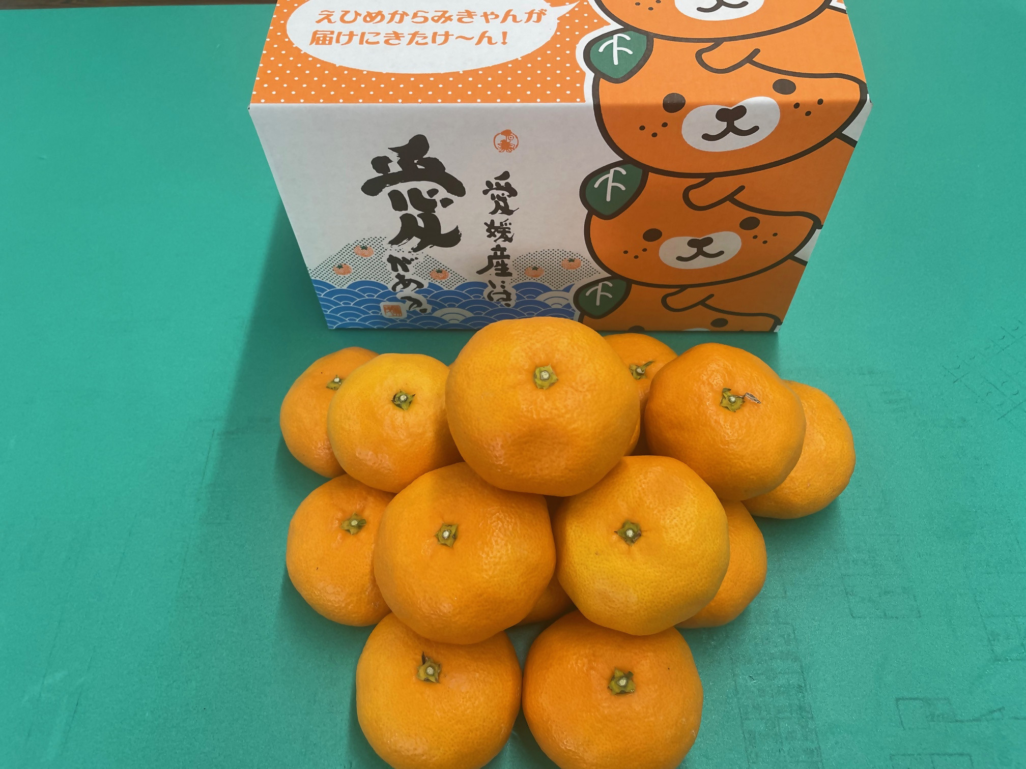 紅まどんなを開発した愛媛県果樹研究センターが栽培！ 温州みかん（愛媛県オリジナル品種 ひめのか） 2kg 1箱