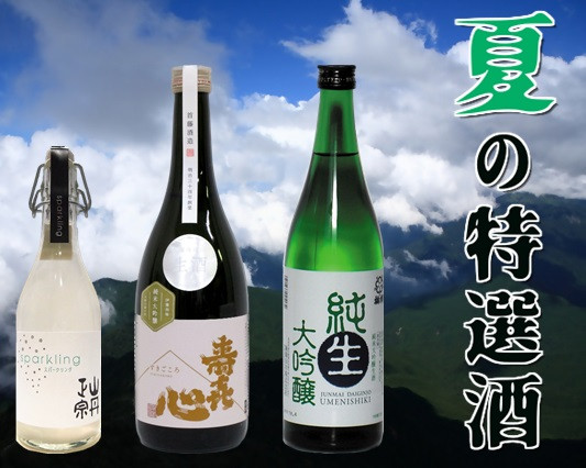 【夏冬2回発送】 地酒の隠れ郷 えひめ定期便 酒 地酒 さけ お酒 アルコール 純米吟醸 純米大吟醸 （053）