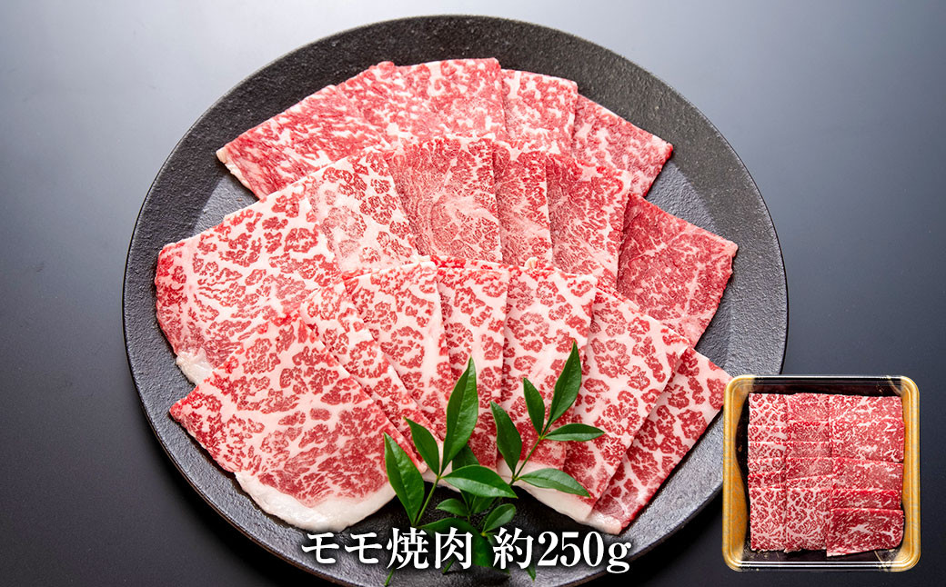 博多和牛の食べ比べセット 700g (切り落とし約450g＋モモ焼肉約250g)