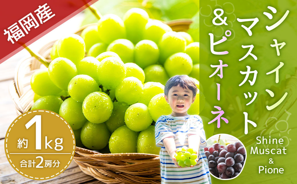 福岡県産 シャインマスカット&ピオーネ 合計約1kg