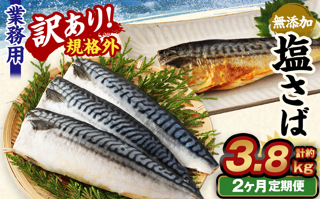 【2ヶ月定期便】【訳あり規格外】 業務用 無添加塩さば 1.9kg