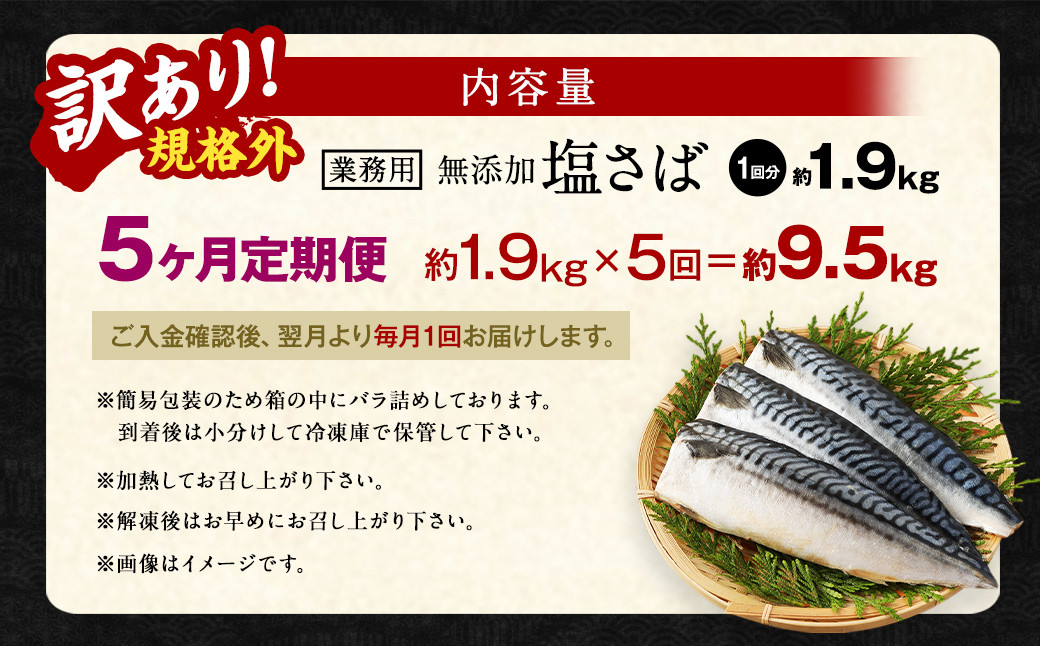 【5ヶ月定期便】【訳あり規格外】 業務用 無添加塩さば 1.9kg