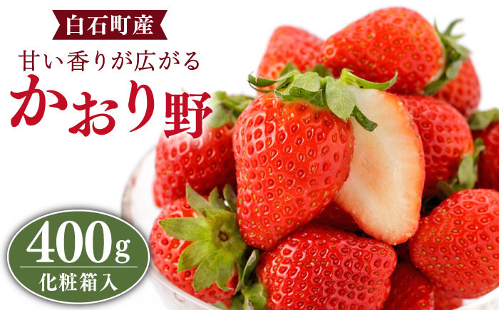 口に広がる甘い香り！老若男女問わず好きないちごを贈り物に♪