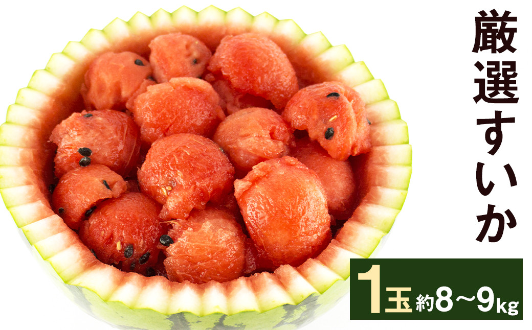 厳選 すいか 1玉 8kg～9kg
