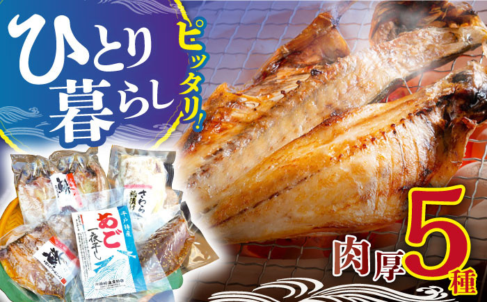 【一人暮らしに便利】お試し 干物 5種セット 平戸市 / 篠崎海産物店 