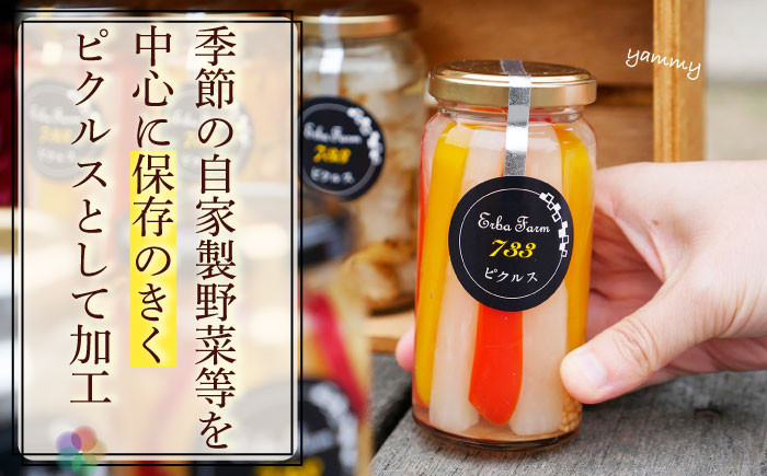 築上町の農家からお届けする旬の食材を使用したピクルスとにんにく醤油