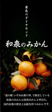 商品紹介チラシ　「黄色のダイヤモンド和泉のみかん」