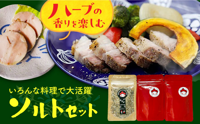 調味料 塩 ガーリック ソルト ハーブ 肉 魚 大人 ローズマリー オレガノ オレンジ オレンジピール ブラックペッパー