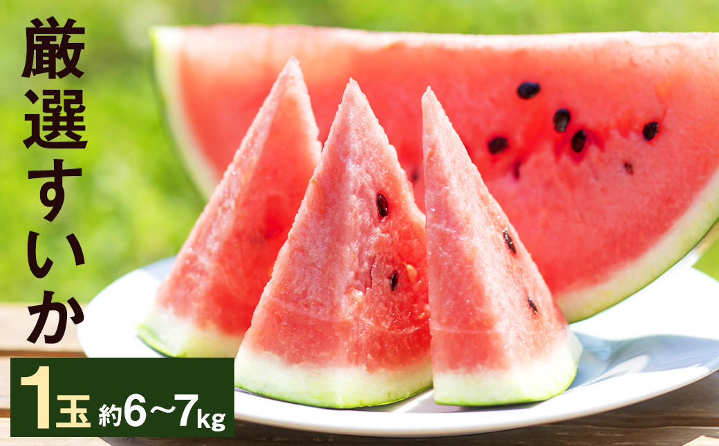 厳選 すいか 1玉 6kg～7kg 