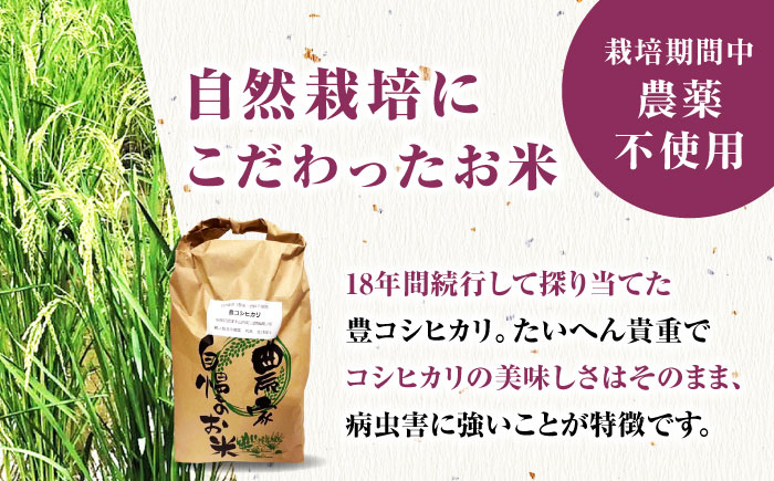 栽培期間中農薬不使用 令和6年産 豊コシヒカリ 玄米 10kg /鶴ノ原北川農園 [UDL016] 米 お米 こめ 玄米 ブラン