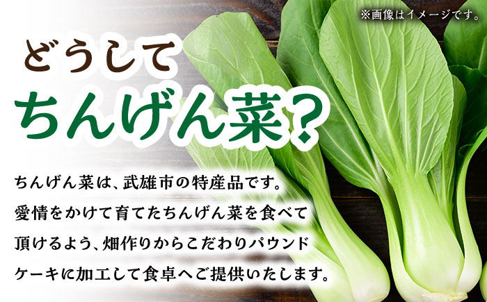 【12回定期便】自家製野菜も使用 パウンドケーキ 3種セット ( チンゲン菜 ココア プレーン ) /おかわりのうえん [UDD