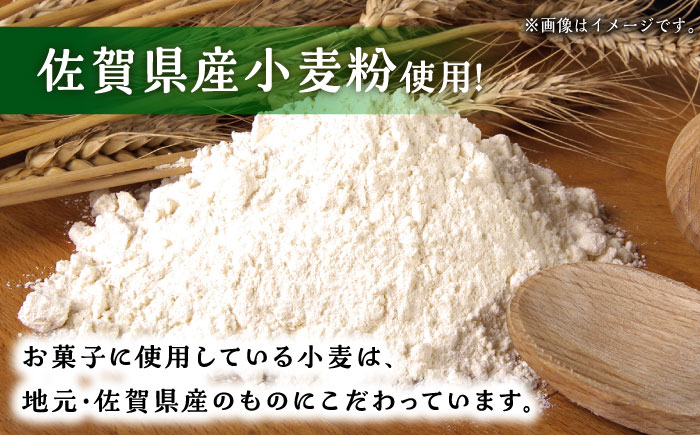 【3回定期便】自家製野菜も使用 パウンドケーキ 3種セット ( チンゲン菜 ココア プレーン ) /おかわりのうえん [UDD0