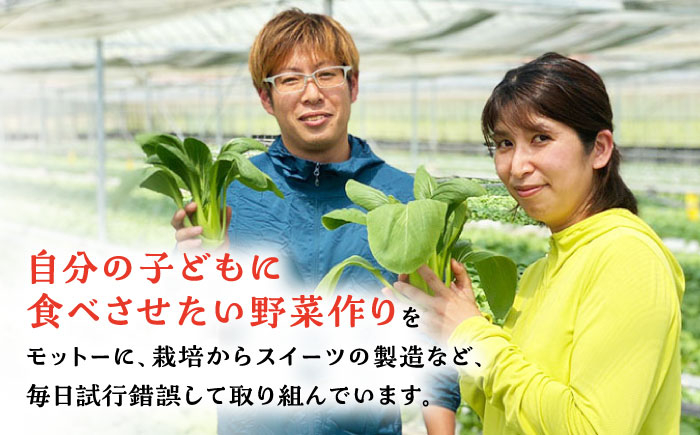 【12回定期便】自家製野菜も使用 パウンドケーキ 3種セット ( チンゲン菜 ココア プレーン ) /おかわりのうえん [UDD