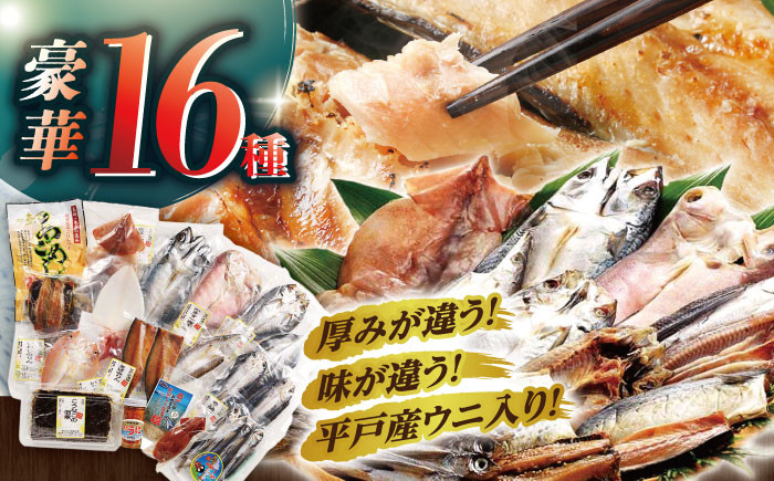 【旨味を凝縮】旬鮮平戸干物 16種詰合せ 平戸市 / 森崎水産  