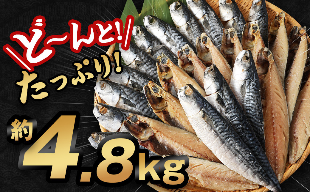 【訳あり規格外】  業務用 無添加 さば文化干し どーんと! 4.8kg
