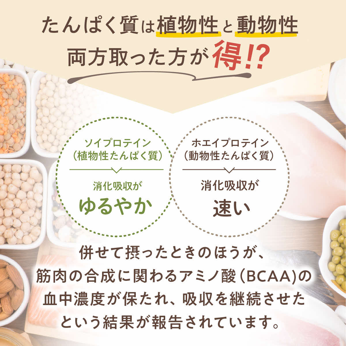 たんぱく質は植物性と動物性、併せて摂ったほうが筋肉の合成に関わるアミノ酸の血中濃度が保たれて吸収が継続します！