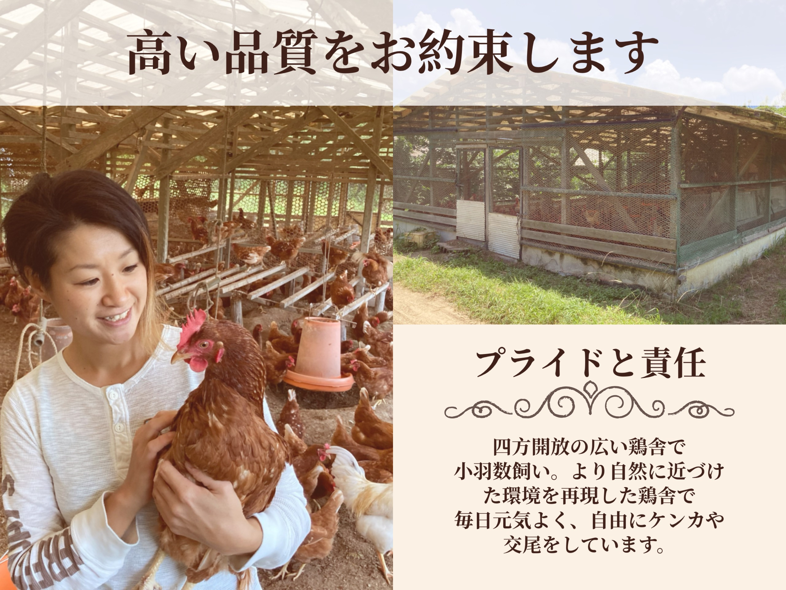 毎日2回のご飯時に、鶏達を観察したり、触れ合ったり、話しかけたりしています。もしもの、けが・病気などの早期発見にも繋がります。