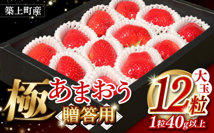 あまおう いちご 苺 イチゴ 特上 ギフト プレゼント 贈答用 贈り物 お祝い フルーツ 高級いちご 人気  国産 おすすめ