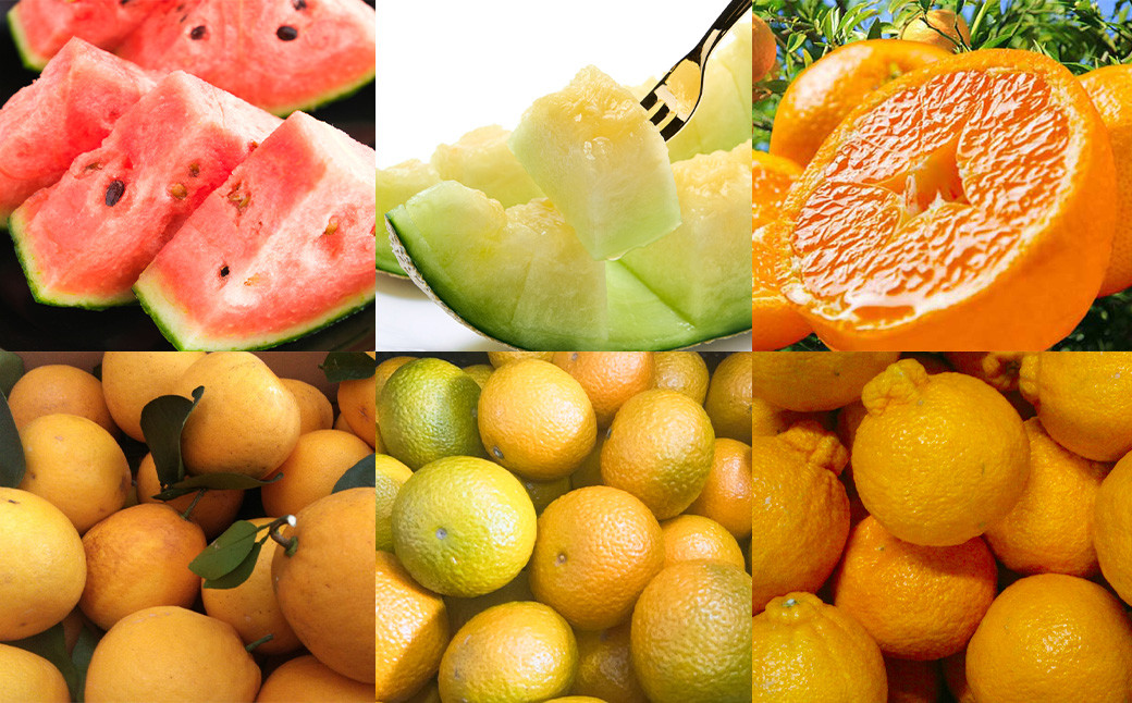 旬のフルーツ定期便 6ヶ月