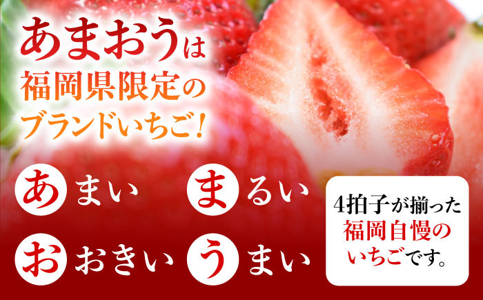 あまおう いちご 苺 イチゴ 特上 ギフト プレゼント 贈答用 贈り物 お祝い フルーツ 高級いちご 人気  国産 おすすめ