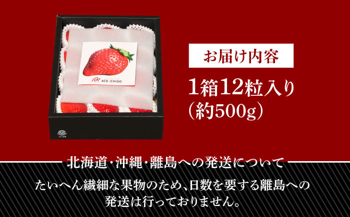 あまおう いちご 苺 イチゴ 特上 ギフト プレゼント 贈答用 贈り物 お祝い フルーツ 高級いちご 人気  国産 おすすめ