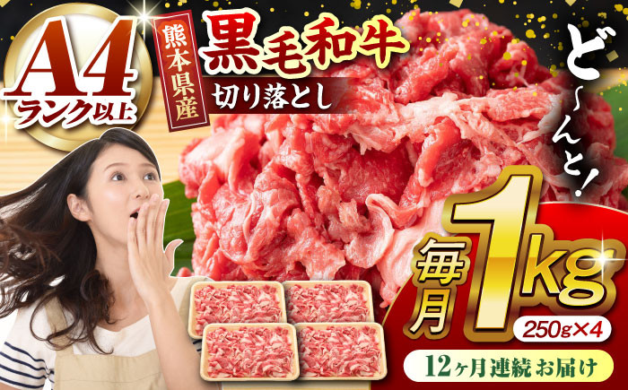 熊本県産 黒毛和牛 切り落とし 計約1kg 牛肉 切り落とし 国産 和牛 ブランド牛 小分け 冷凍 熊本産 山鹿市 送料無料