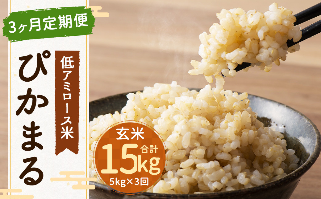 【新米先行予約】【3ヶ月定期便】低アミロース米 ぴかまる 5kg×3回 玄米 計15kg