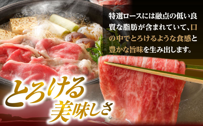 【6回定期便】【限定生産】特選ロース すき焼き用 長崎和牛 出島ばらいろ