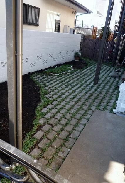 玉竜 タマリュウ たまりゅう 2枚