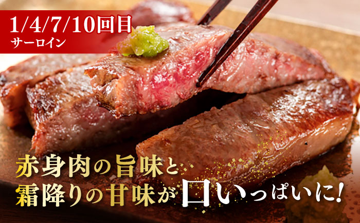 サーロイン ステーキ 肉 牛肉 高級 ヒレ フィレ シャトーブリアン