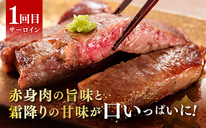 サーロイン ステーキ ロース シャトーブリアン 食べ比べ 牛肉 肉