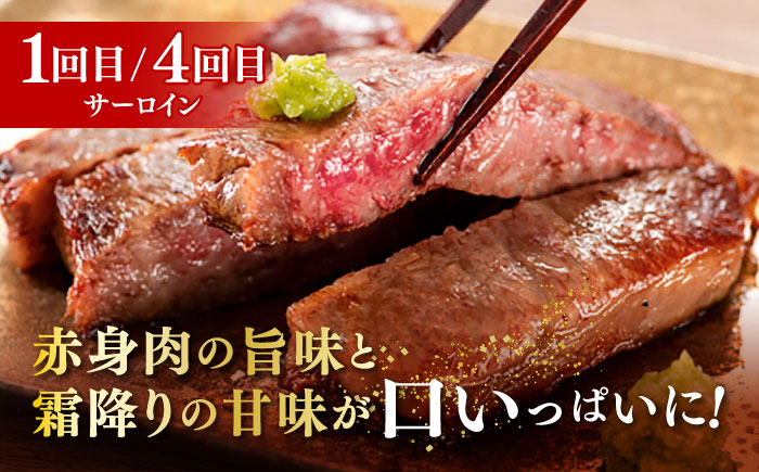 サーロイン ステーキ ロース シャトーブリアン 食べ比べ 牛肉 肉